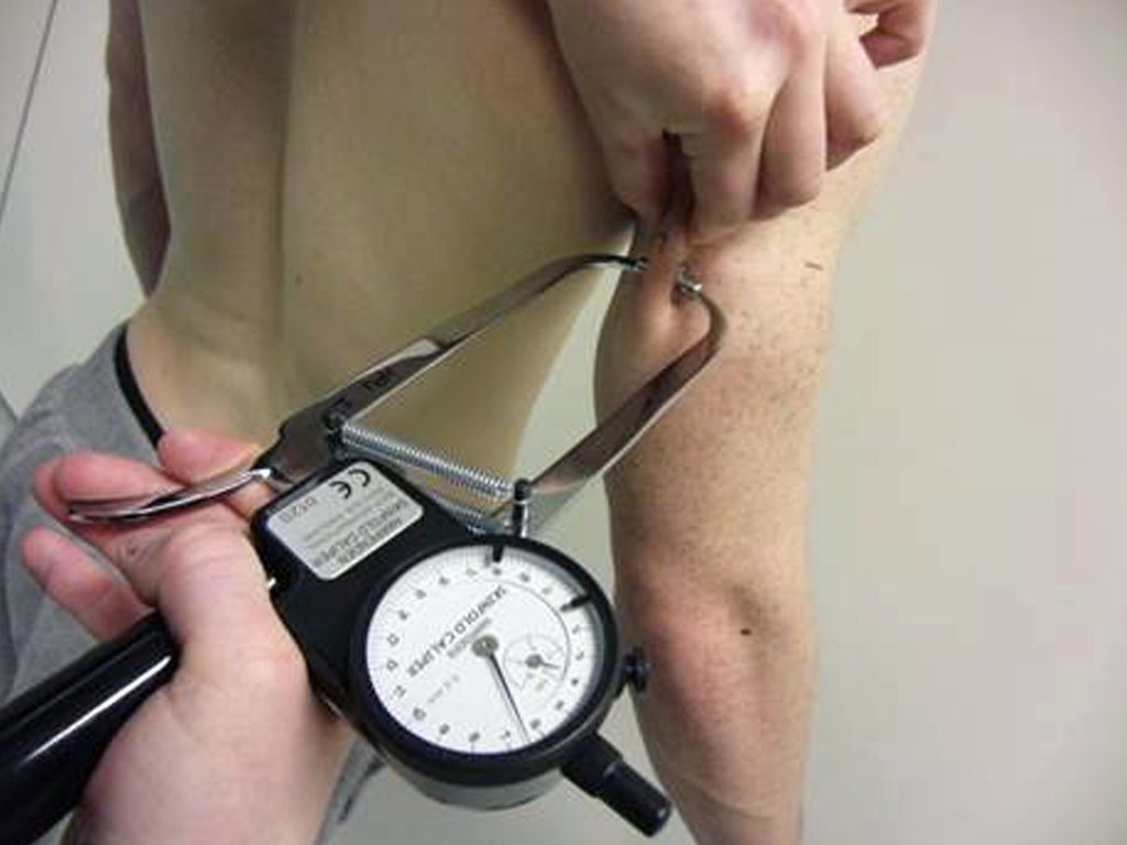 Assessing body composition